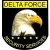 Delta Force Security Logo