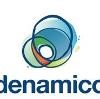 Denamico Logo