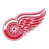 Detroit Red Wings Logo
