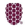 Dewberry Logo