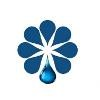 Dewhive Solutions Logo