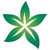 DHCC Logo
