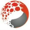 DHI Services Logo