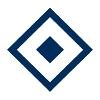 Diamond Game Logo