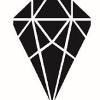 Diamond Line Delivery Systems Logo