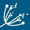 Didi Hirsch Mental Health Services Logo