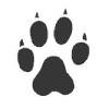 Digital Cheetah Logo