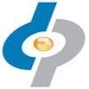 Digital Performance Logo