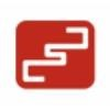 Digital Signal Logo