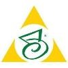 Digitech Systems Logo