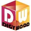 DigyWood Technologies Logo
