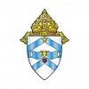 Diocese of Austin Logo