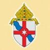 Diocese of Fall River Logo