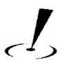 Direct Pointe Logo