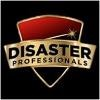 Disaster Professionals Logo