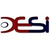 Disk Enterprise Solutions Logo