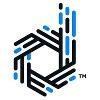 Dispersive Networks Logo