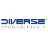 Diverse Systems Group Logo