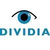 DIVIDIA Technologies Logo