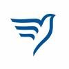 Divine Financial Services Logo