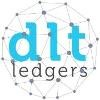 dltledgers Logo