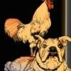 Dog and Rooster Logo