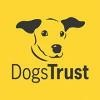 Dogs Trust Logo