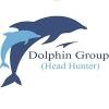 Dolphin Head Hunter Logo
