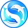 Dolphin Neurostim Logo
