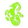 Dominic Schindler Creations Logo