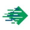 Domino Laser Logo