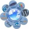 DomS IT Solutions Logo