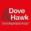 Dove & Hawk Logo