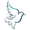 Dove Healthcare Logo