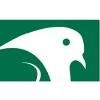 Dove Pointe Logo