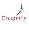 Dragonfly Recruitment Logo