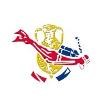 Dressel Divers Logo