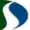 DriveSafe Driving Schools Logo