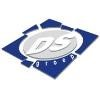 DS Groep Logo
