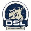 DSL Logo