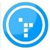 DSM Solutions Inc Logo