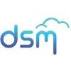DSM Technology Consultants Logo