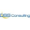 DSS Consulting Logo