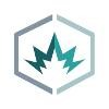 DualSpark Logo