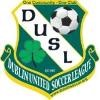 Dublin United Soccer League Logo
