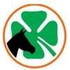 Due Process Stable Trading Logo