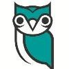 Dynamic Owl Logo