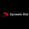 Dynamic Risk Logo