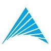 Dynamic Software Consultants Logo