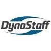 Dynamic Staffing Network Logo